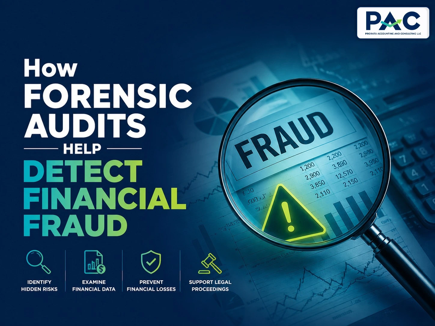 How Forensic Audits Help Detect Financial Fraud